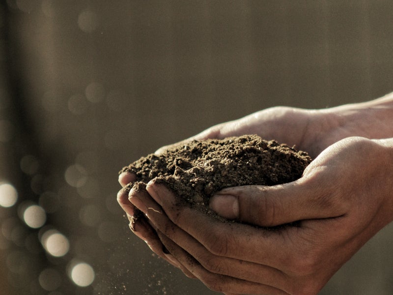 Hands holding a clump of dirt