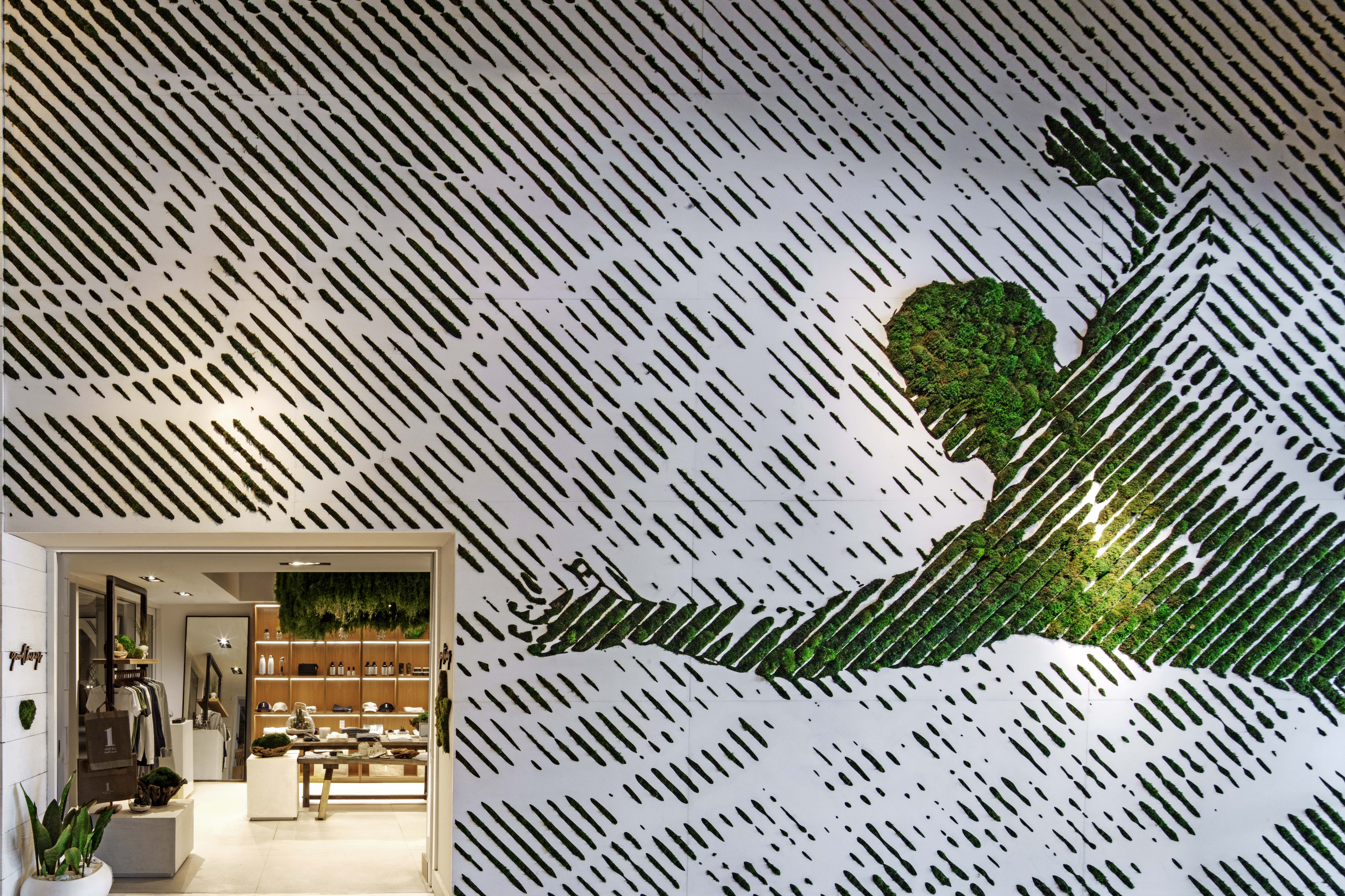 Plants in the shape of a person growing on the wall