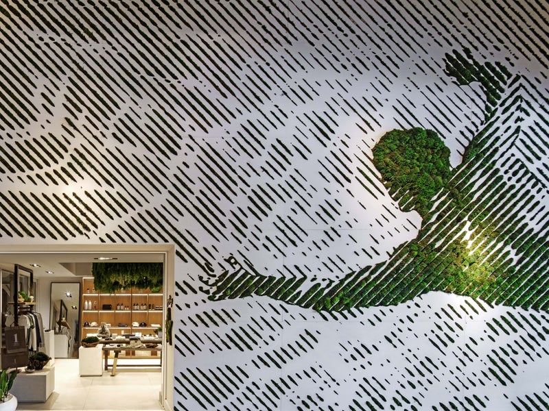 Plants in the shape of a person growing on the wall