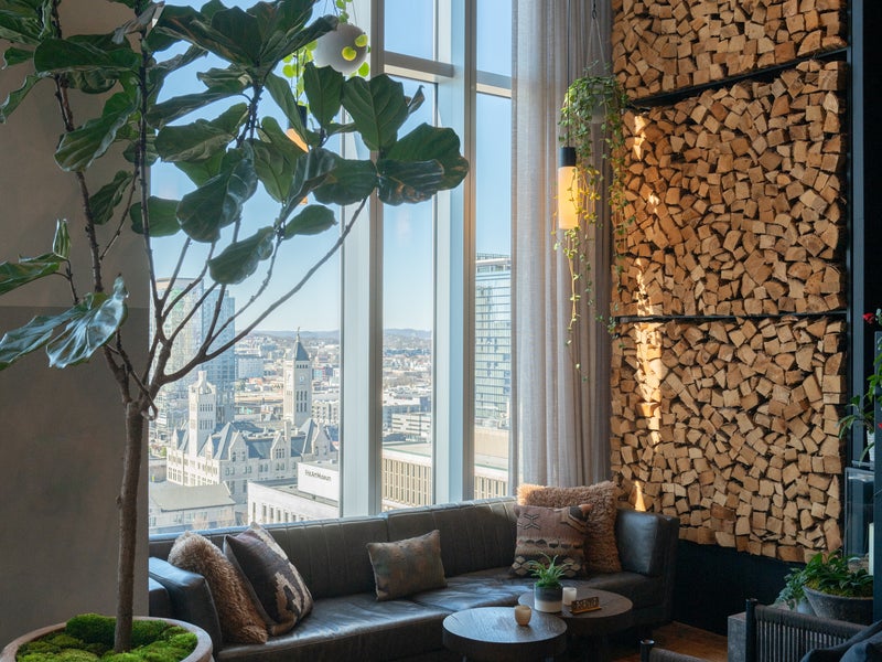 Public place with large window, tall plant, and firewoods