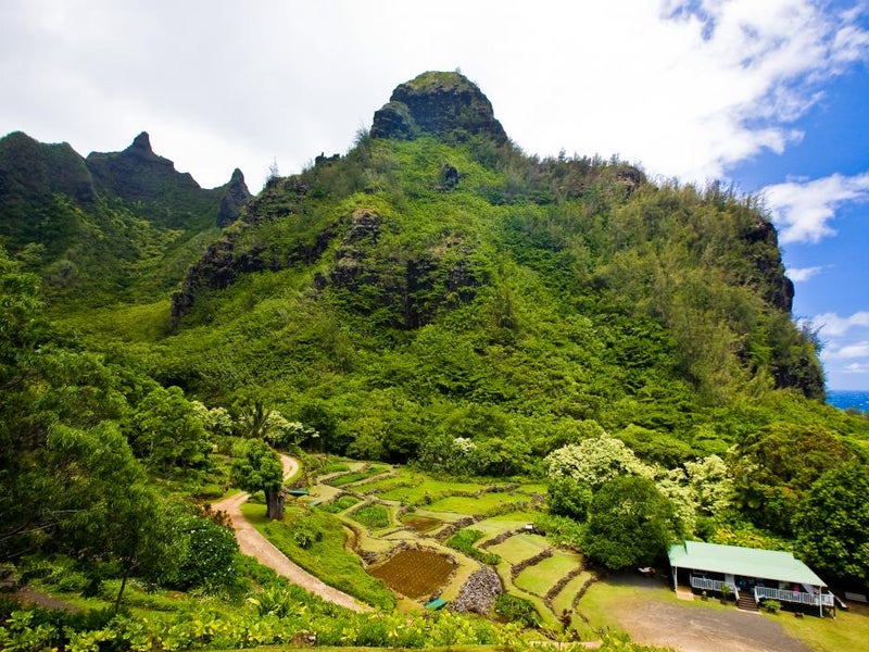 A grassy mountain