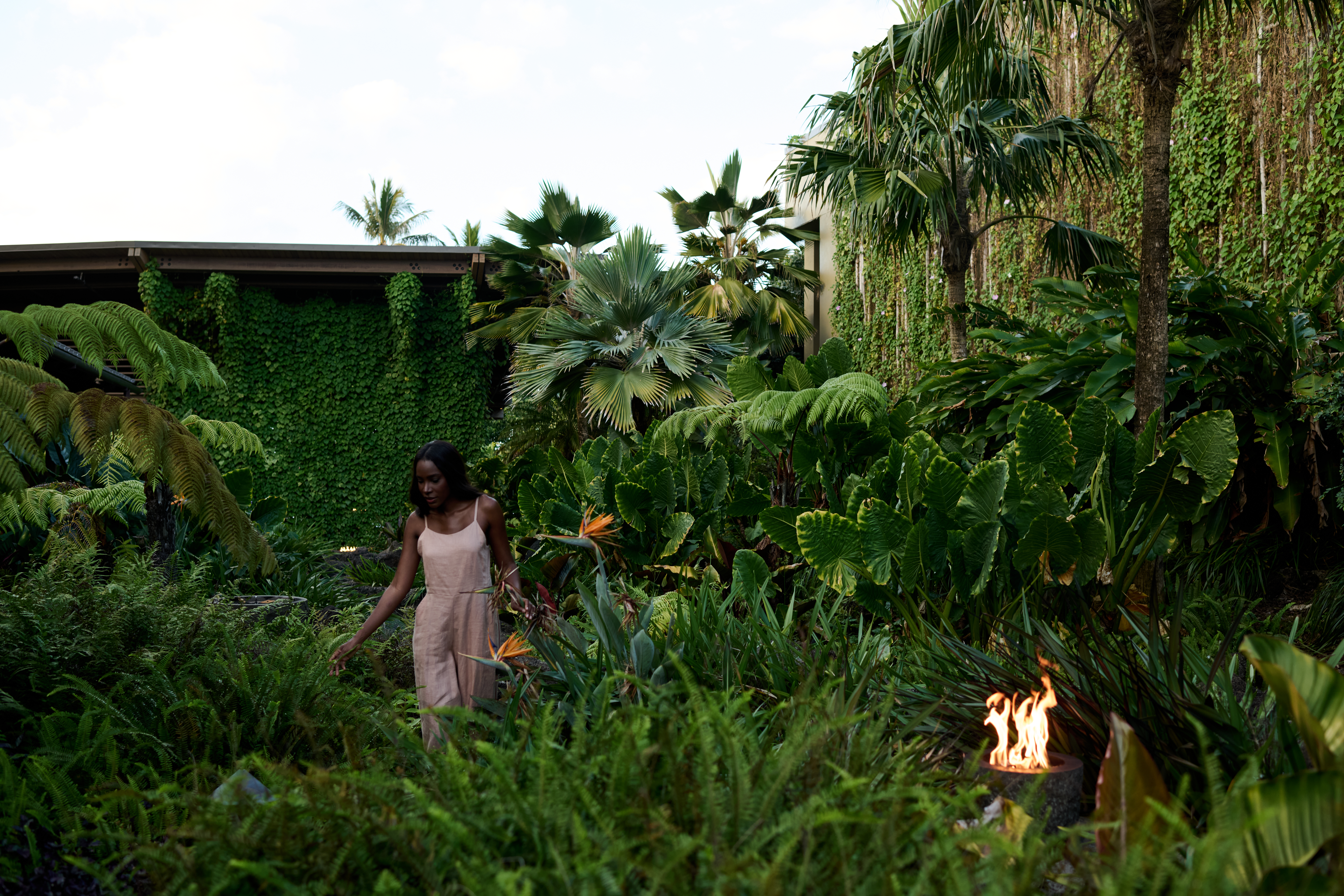 Aloha Botanical Tour 