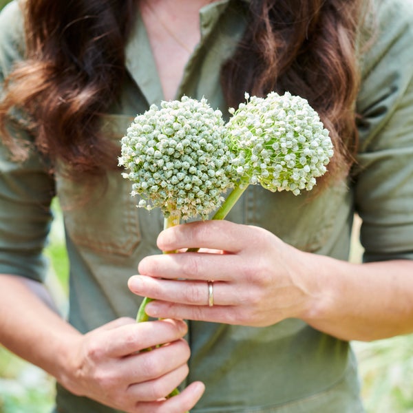 Woman holding plants