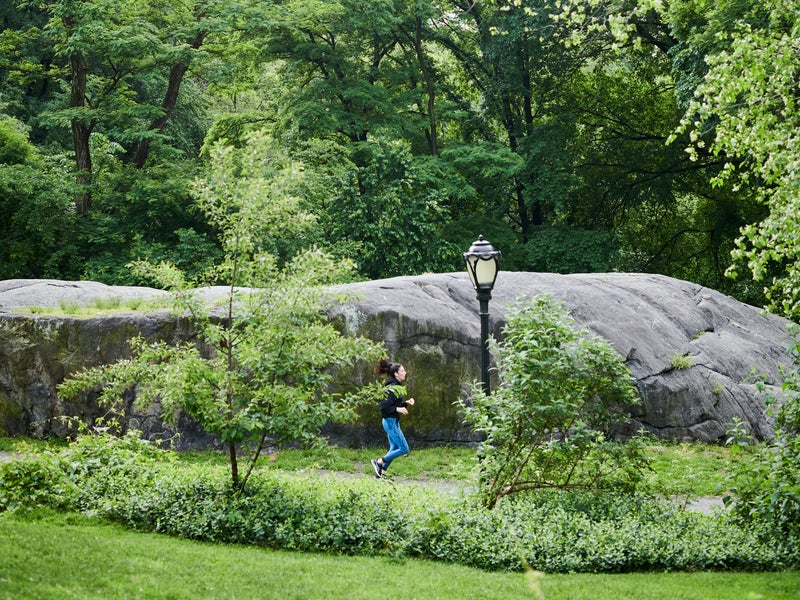 Person jogging in Central Park