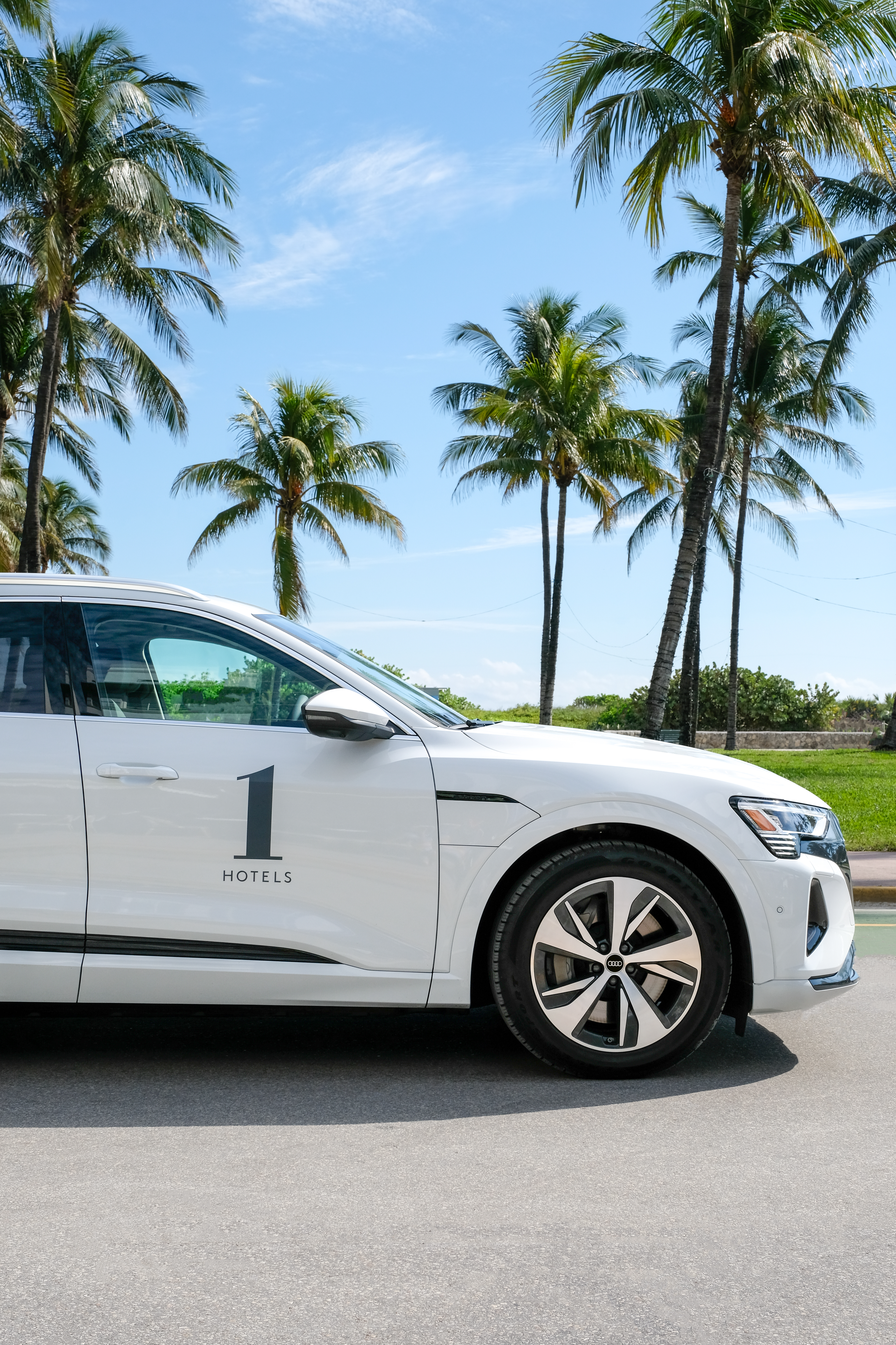 Audi car with palm trees 