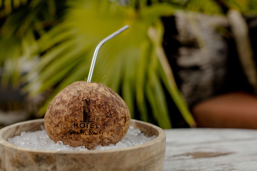 1 Hotel branded coconut with a straw coming out of it