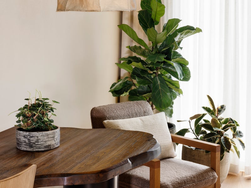 King River Desk