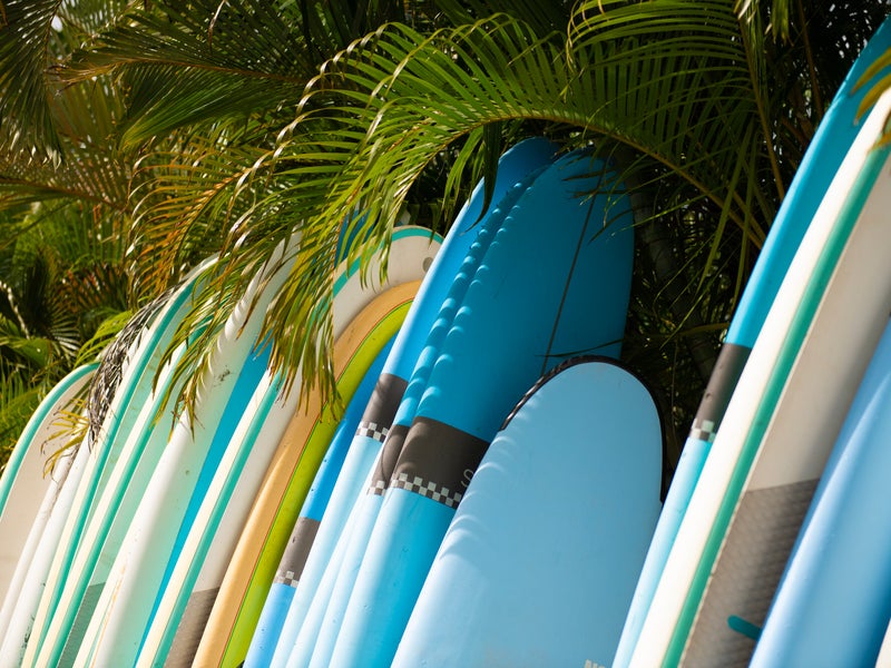 Surfboards lined up