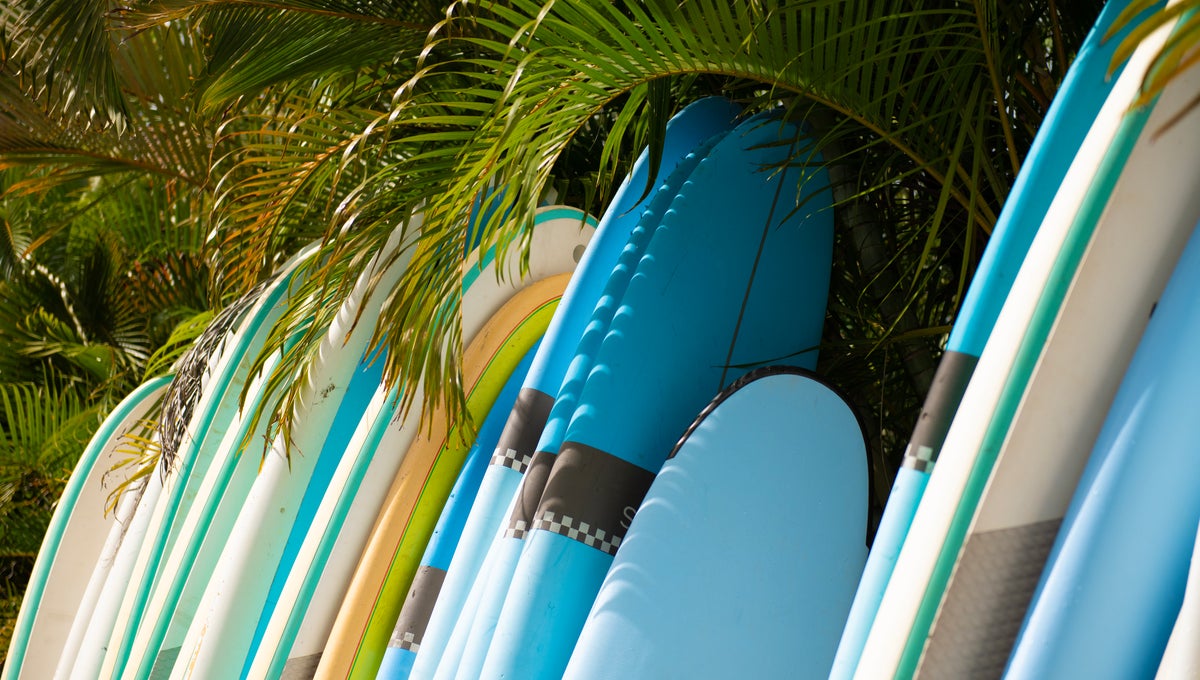Surfboards lined up