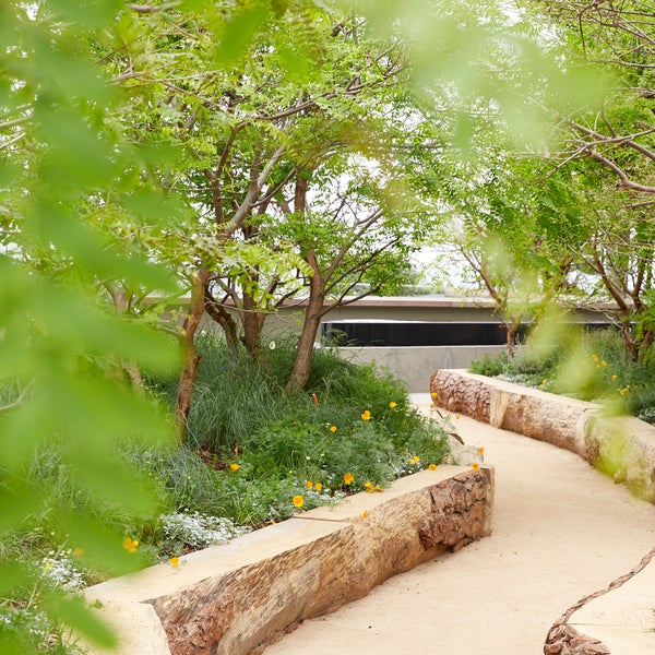 A stone path snakes its way through an outdoor garden