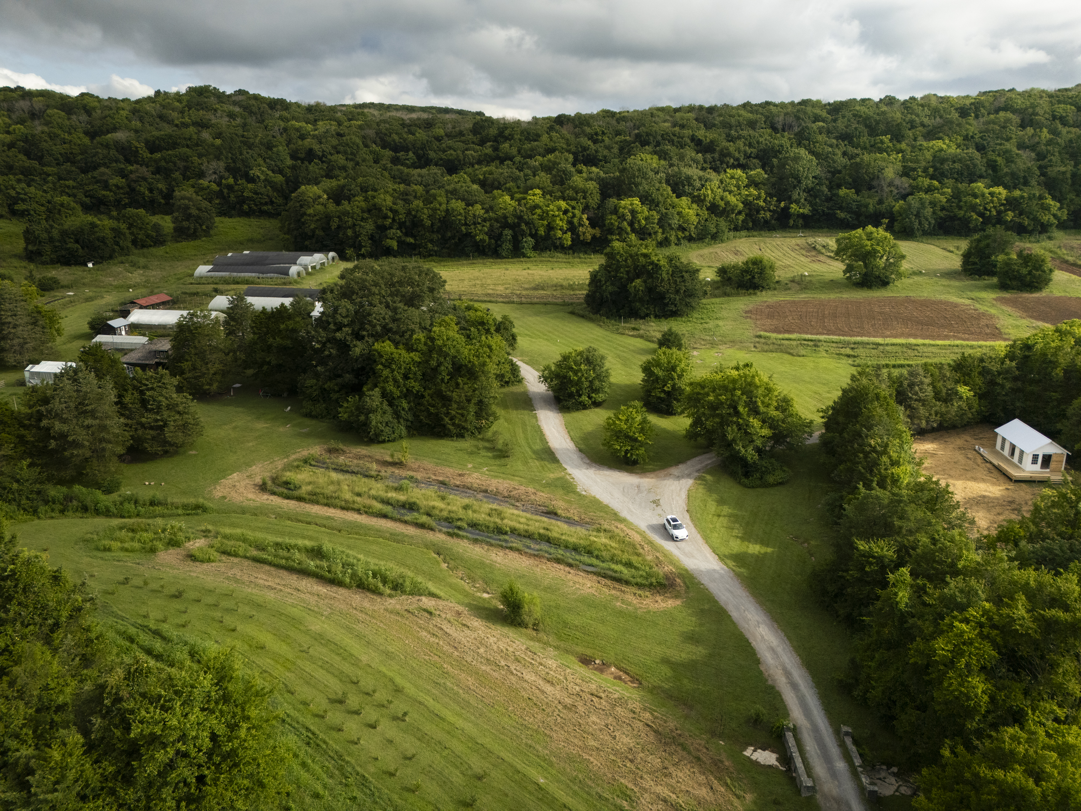 car driving through nature