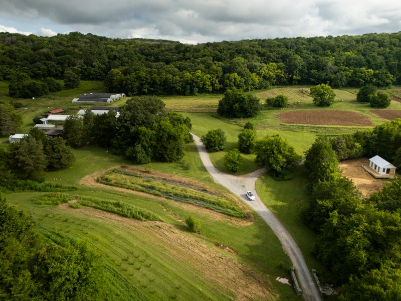 car driving through nature