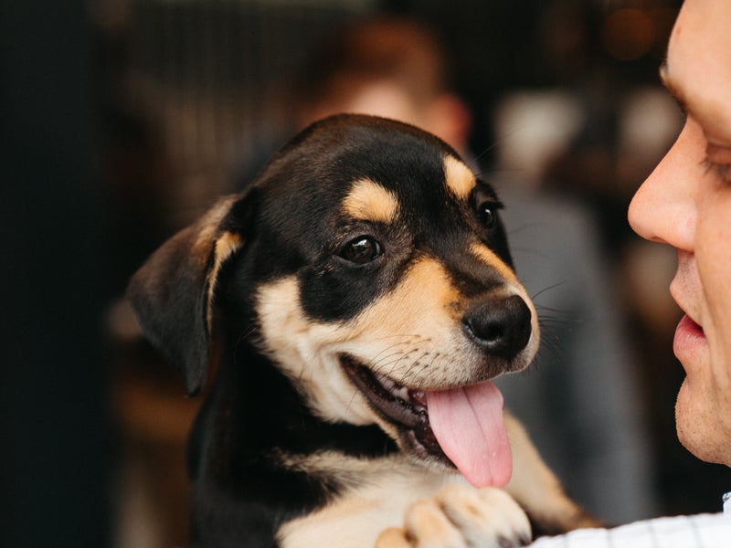 A man holding a pup
