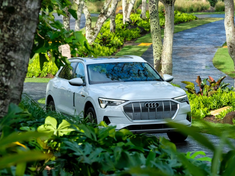 White Audi SUV framed by lush green gardens