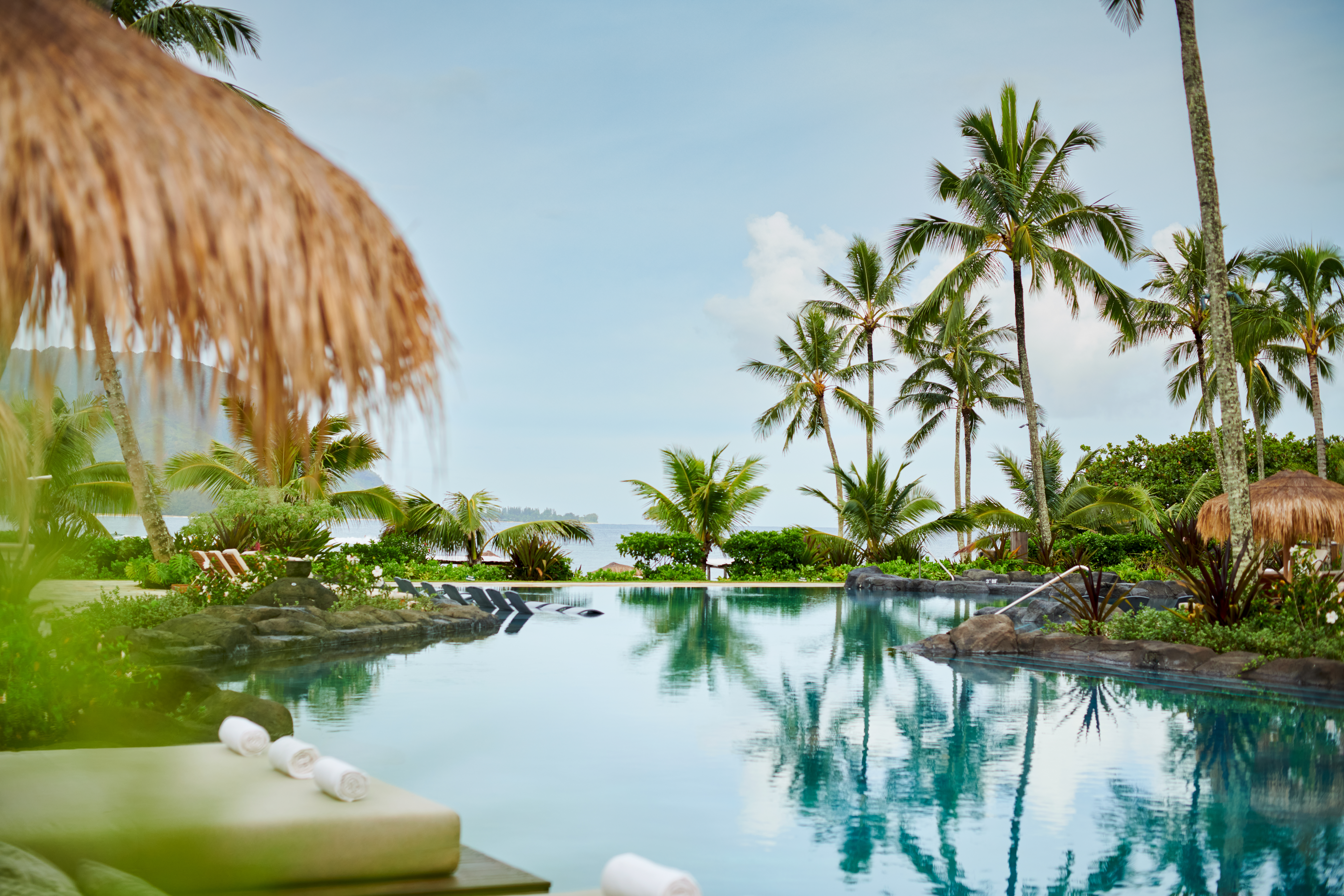 Piscine entourée de palmiers