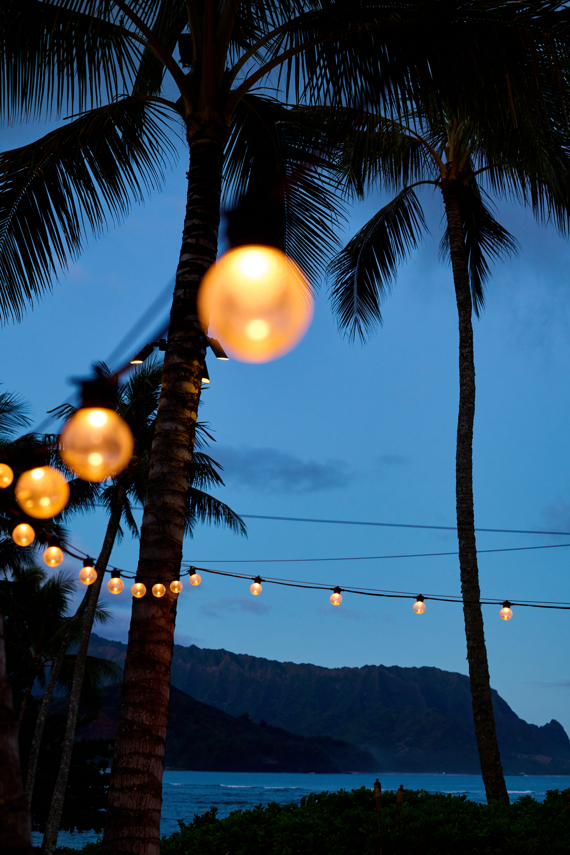 strings lights at beach