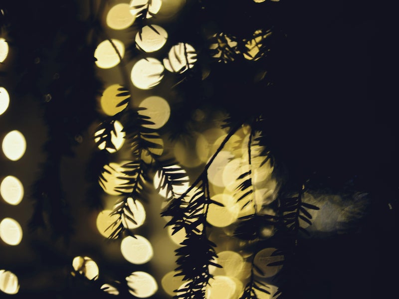 greenery and lights
