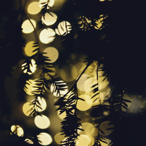 greenery and lights