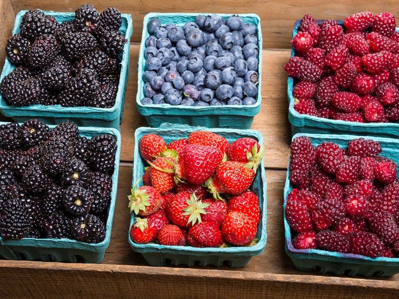 Cartons of fruit in a bin