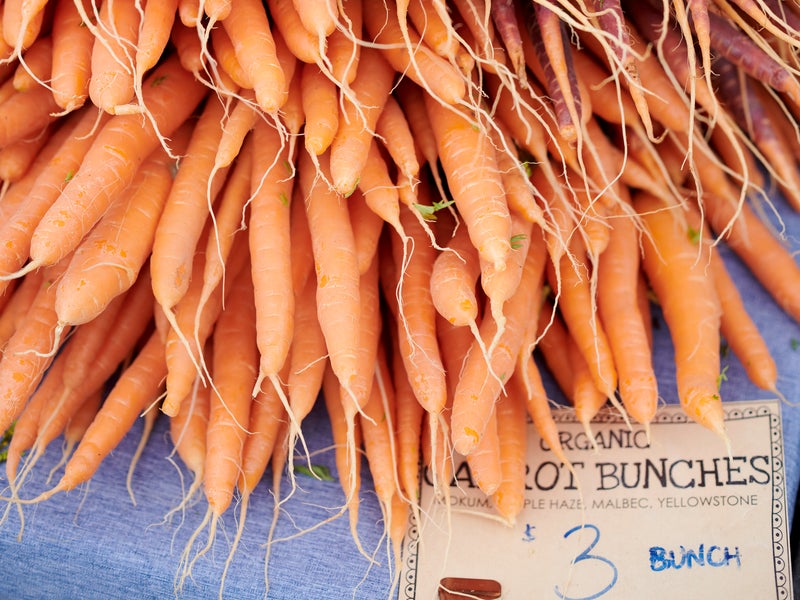 Several bunches of carrots on display