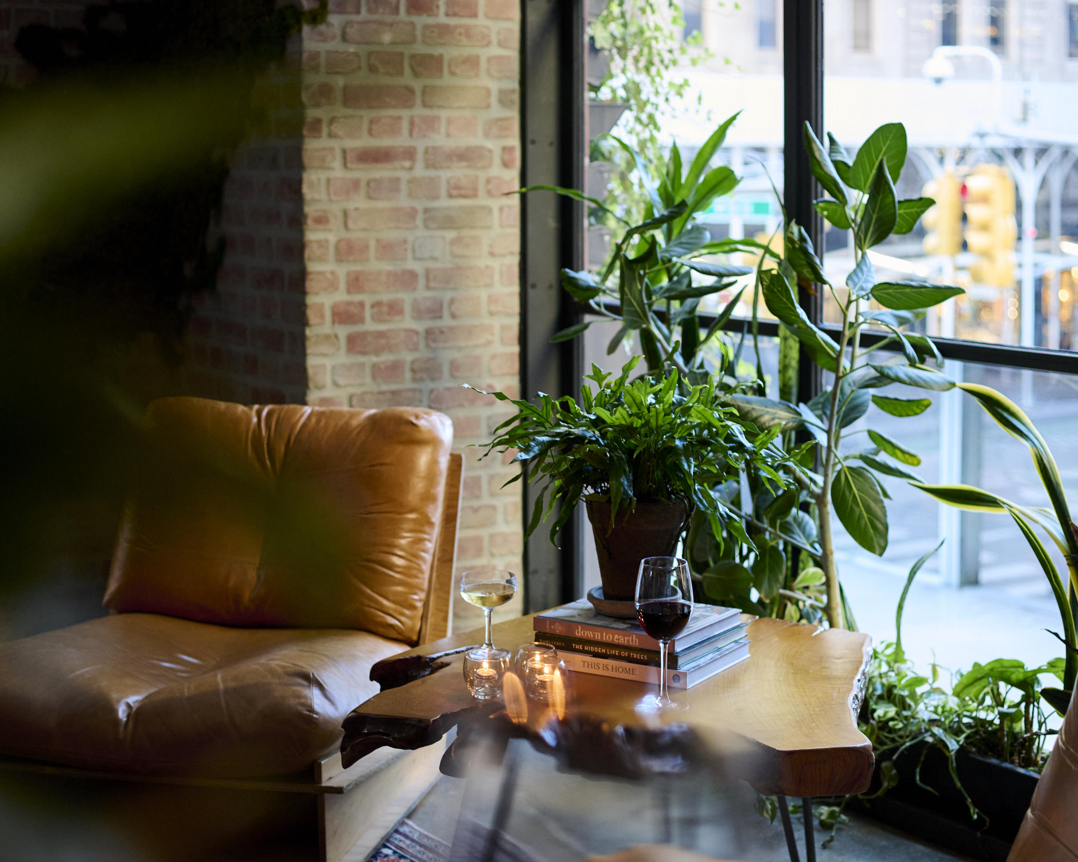  Great Lawn Reception