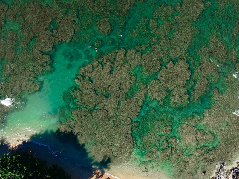Aerial view of a beach