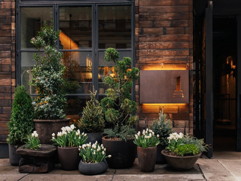 Potted plants outside 1 Central Park