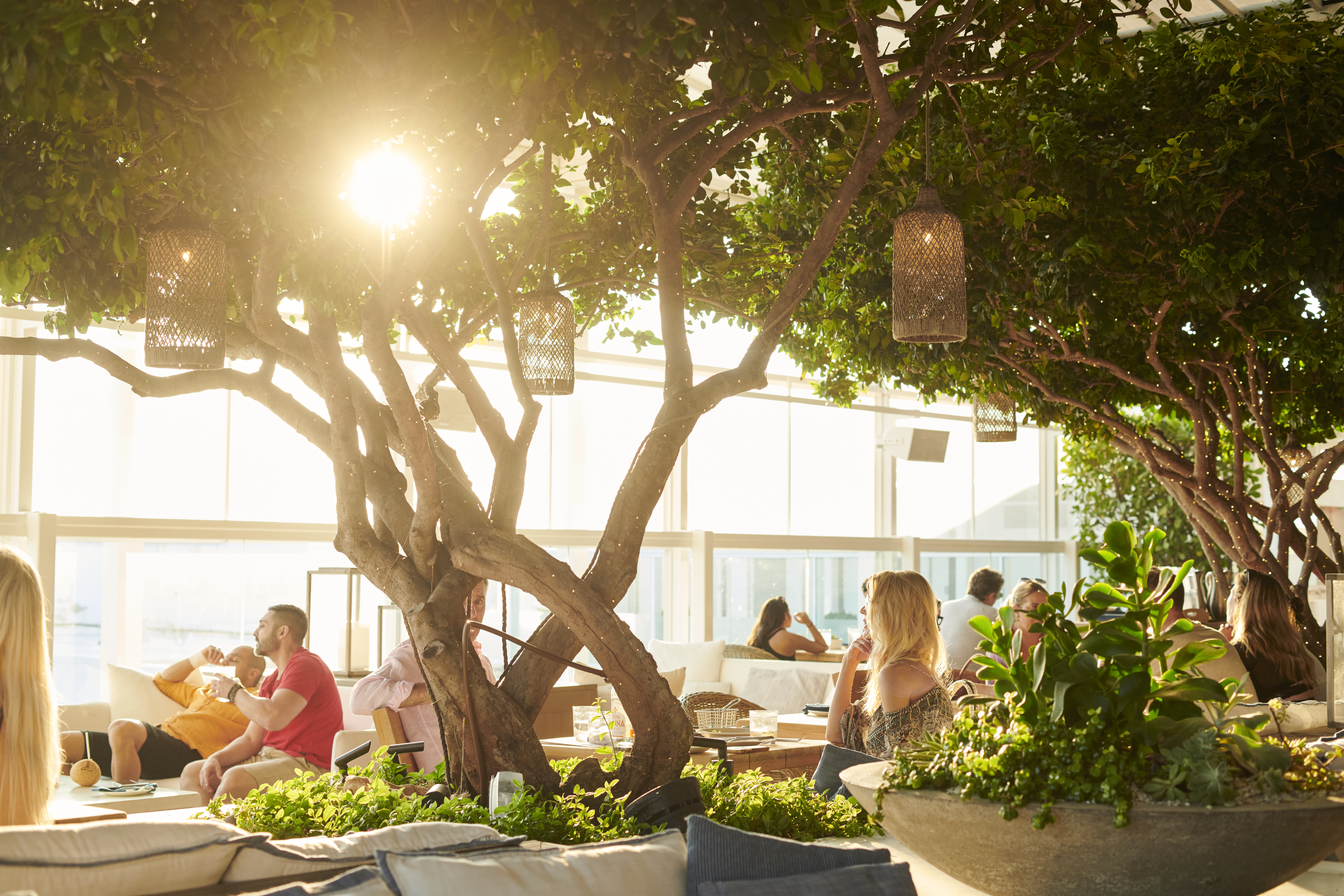 People sitting underneath trees with lanterns hanging in them