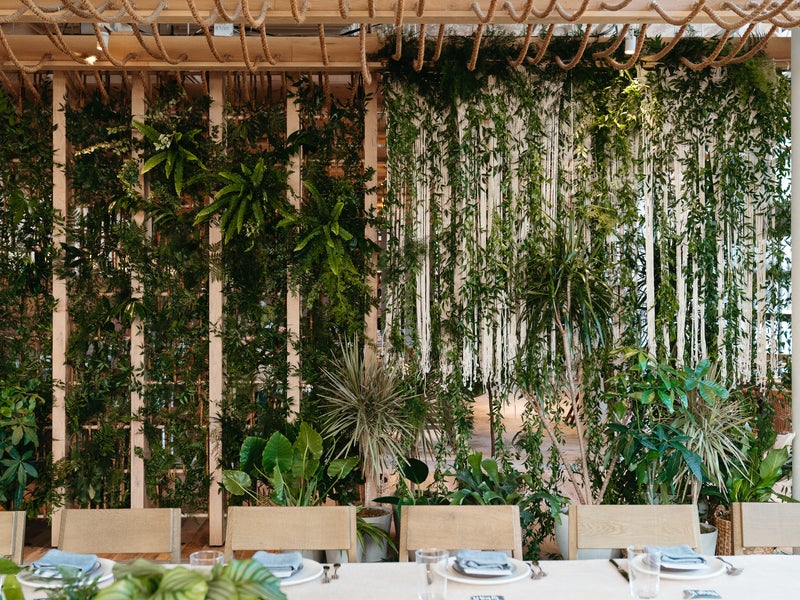 Wall decorated with plants 