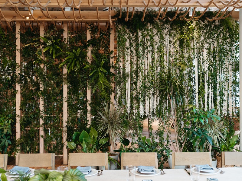 Wall decorated with plants