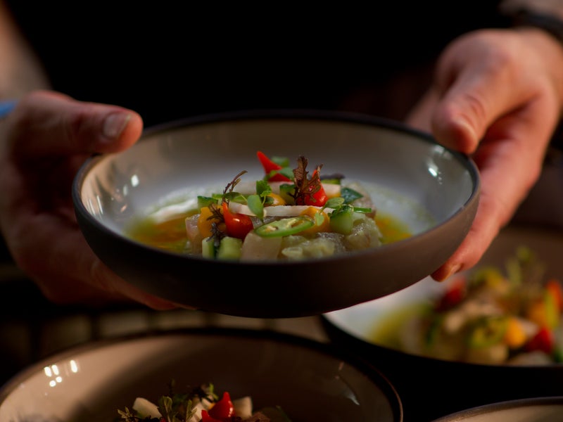 Person holding a bowl of salad