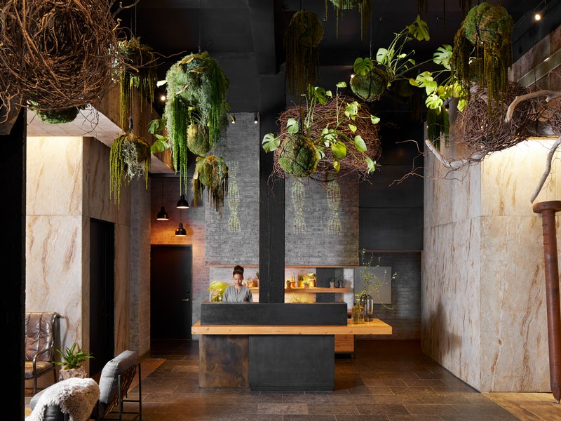 Dark themed hotel lobby with hanging plants