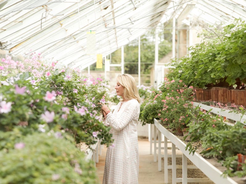 Carole Bamford