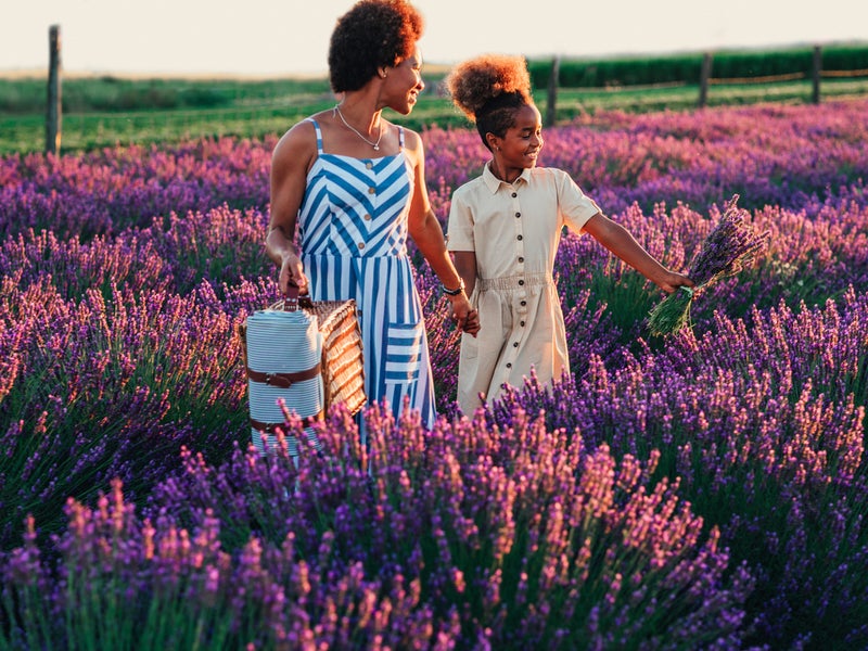 Two people standing in a field of lavendar
