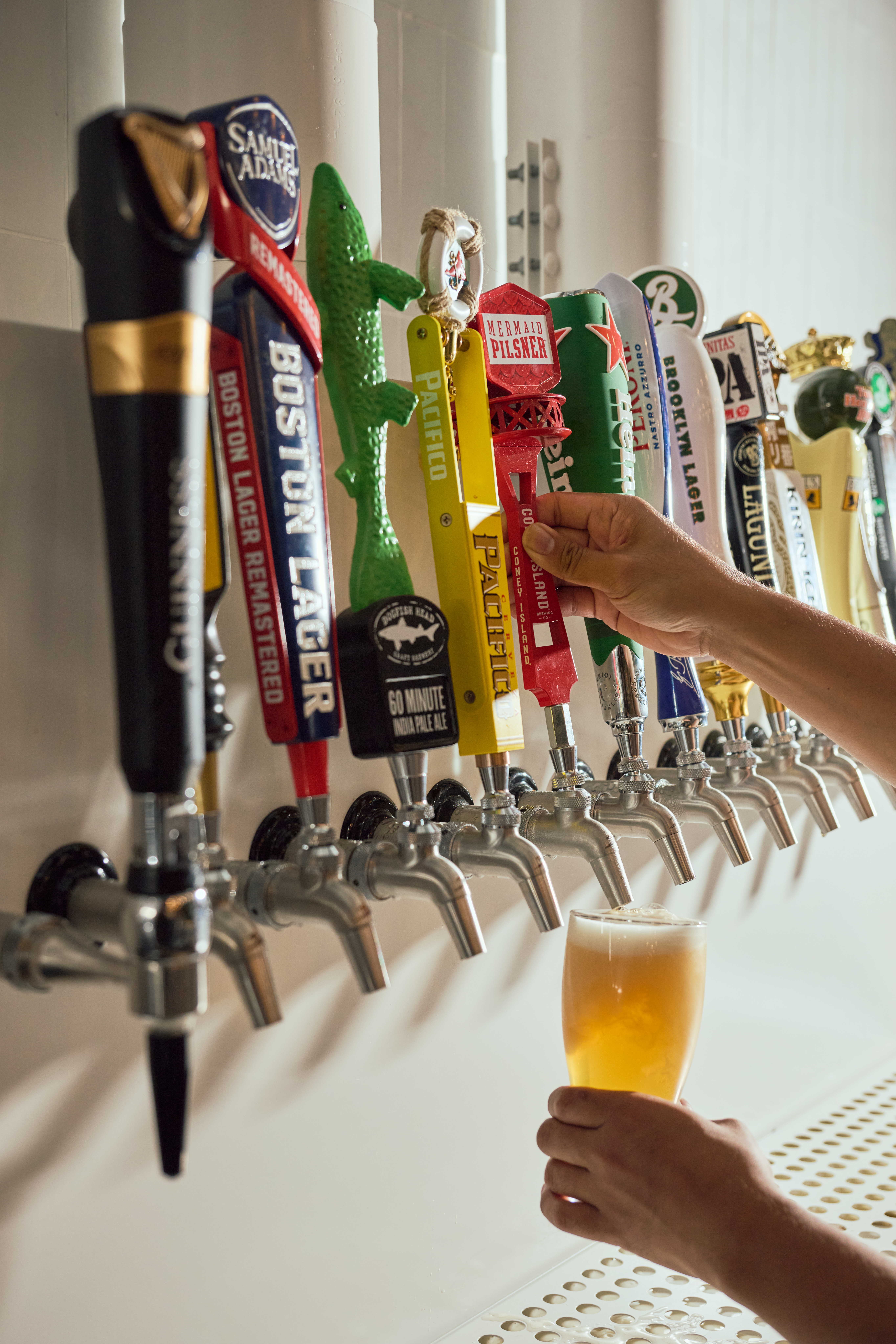 16 local beer taps