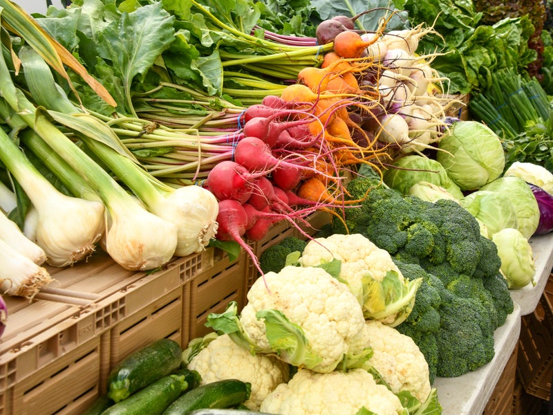 farmers market