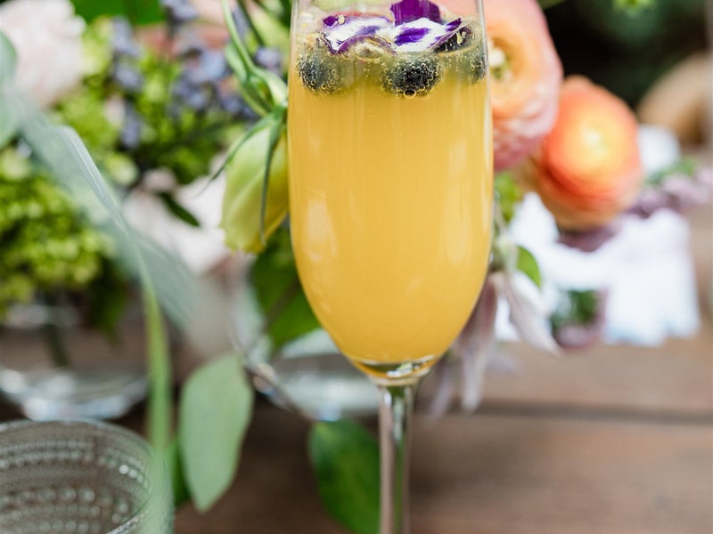 Mimosa
