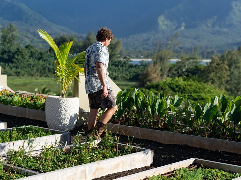 Rooftop Garden