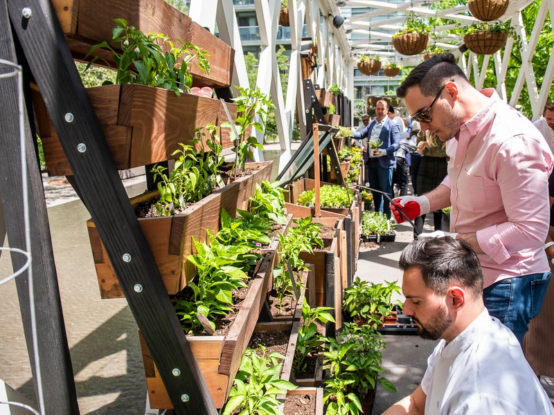 people looking at plants in a greenhouse