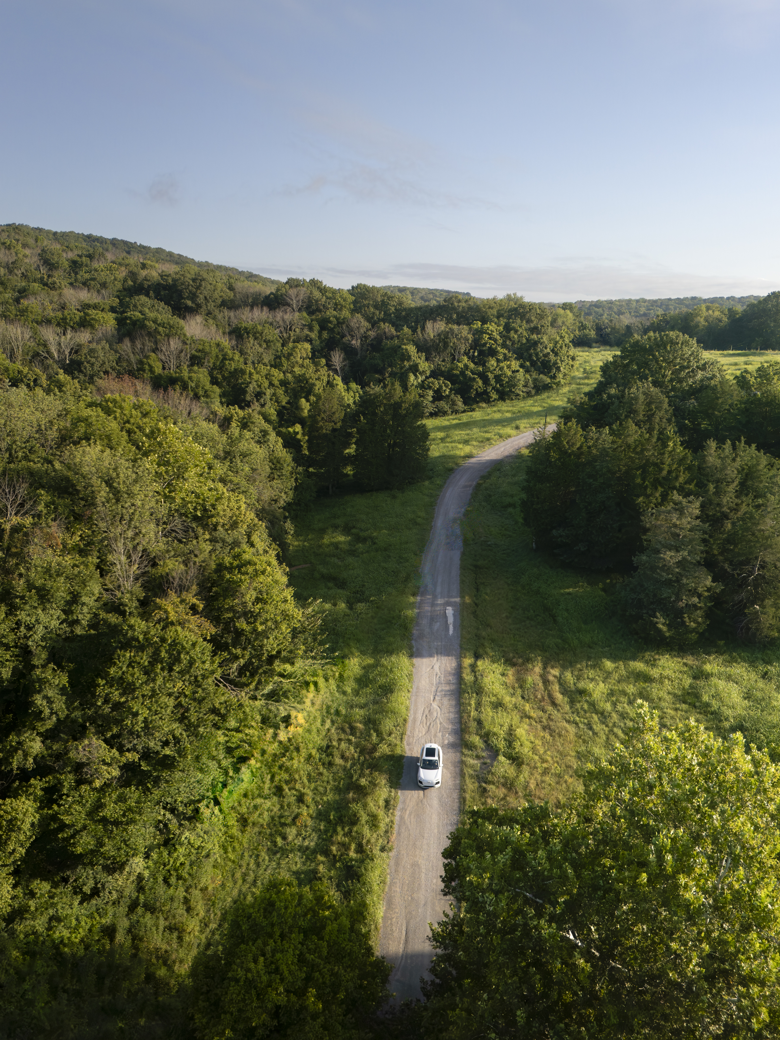 car driving through nature