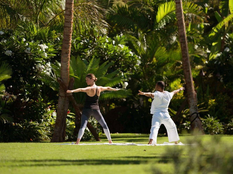 Two people doing yoga under palm trees