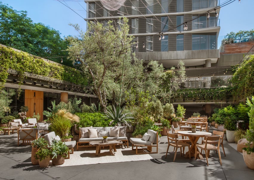 Juniper Lounge and Garden