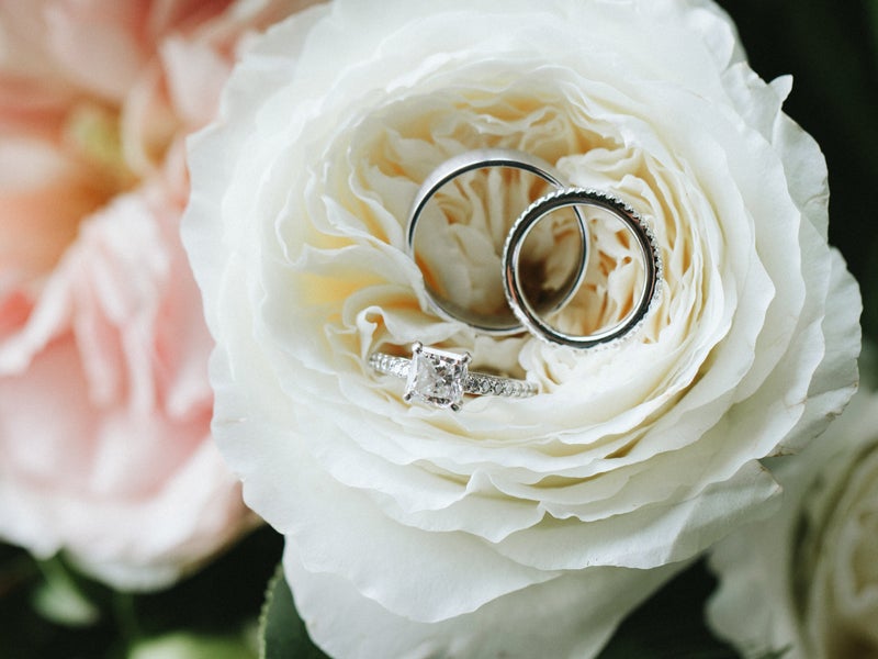 Rings balanced in a rose 