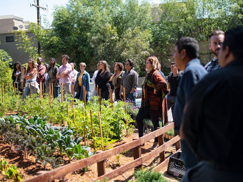 Group of people gathered around a garden