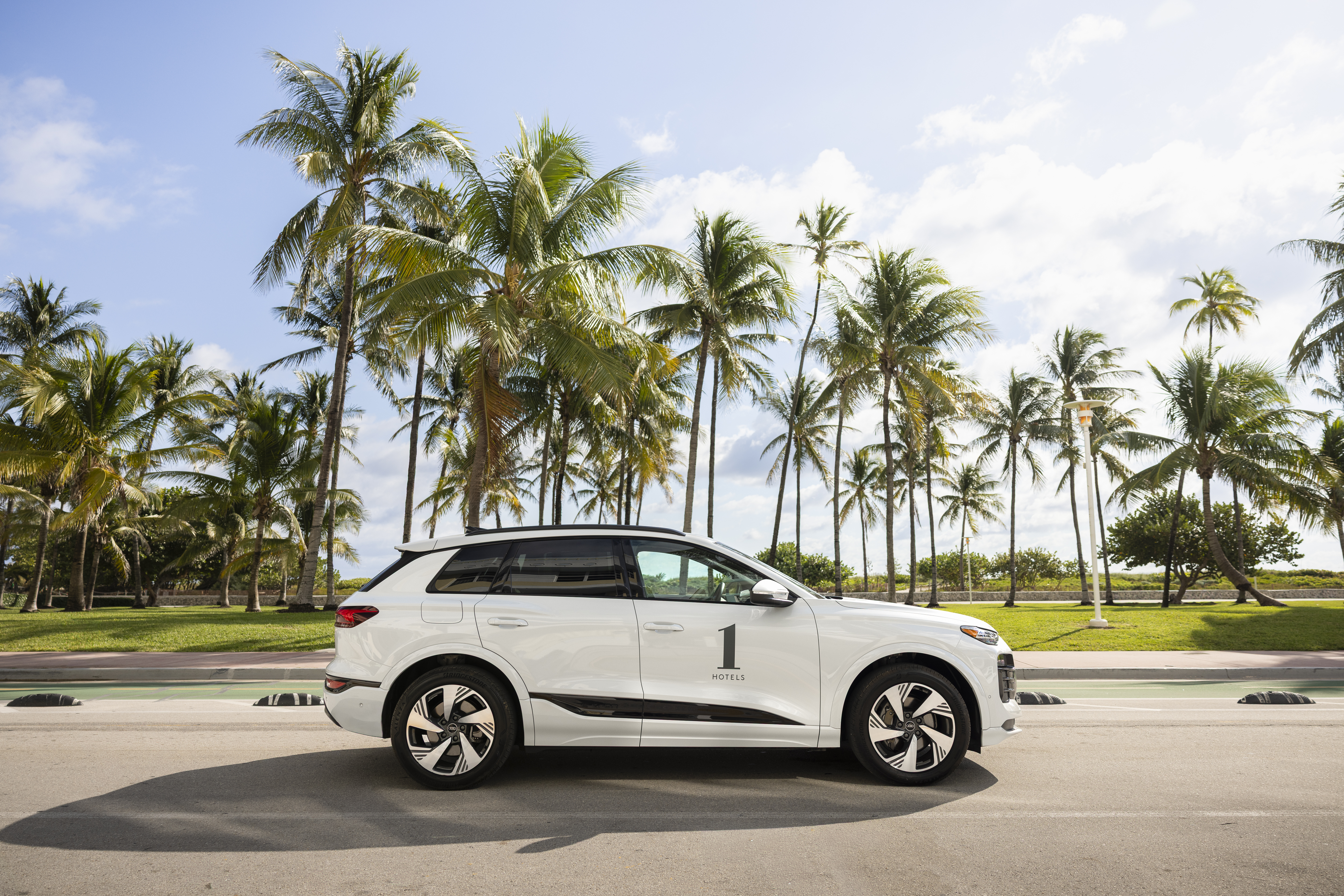 audi in front of palm trees