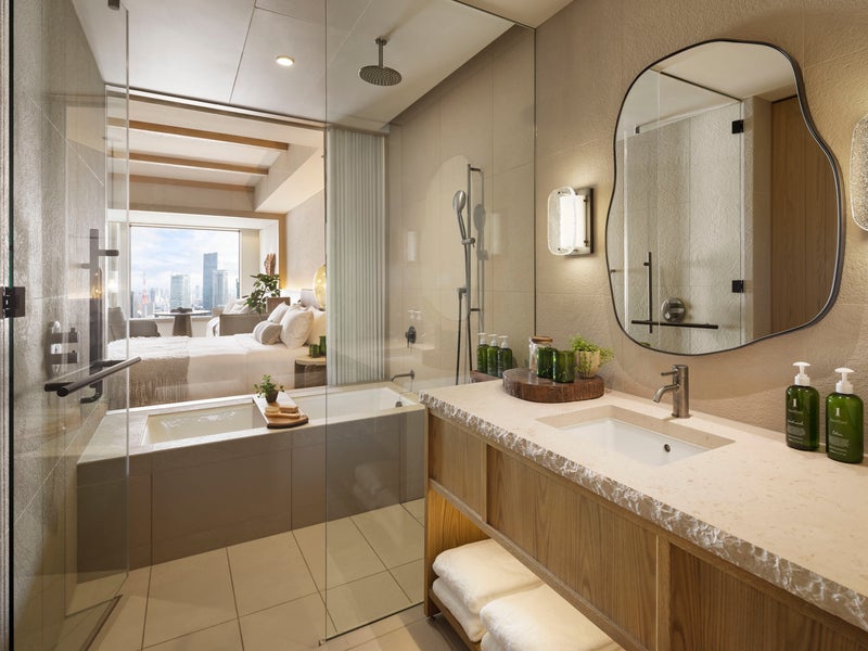 Wood toned modern bathroom with amenities and bathtub