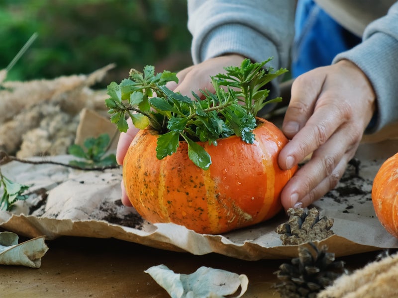 Pumpkin Flower Arrangement