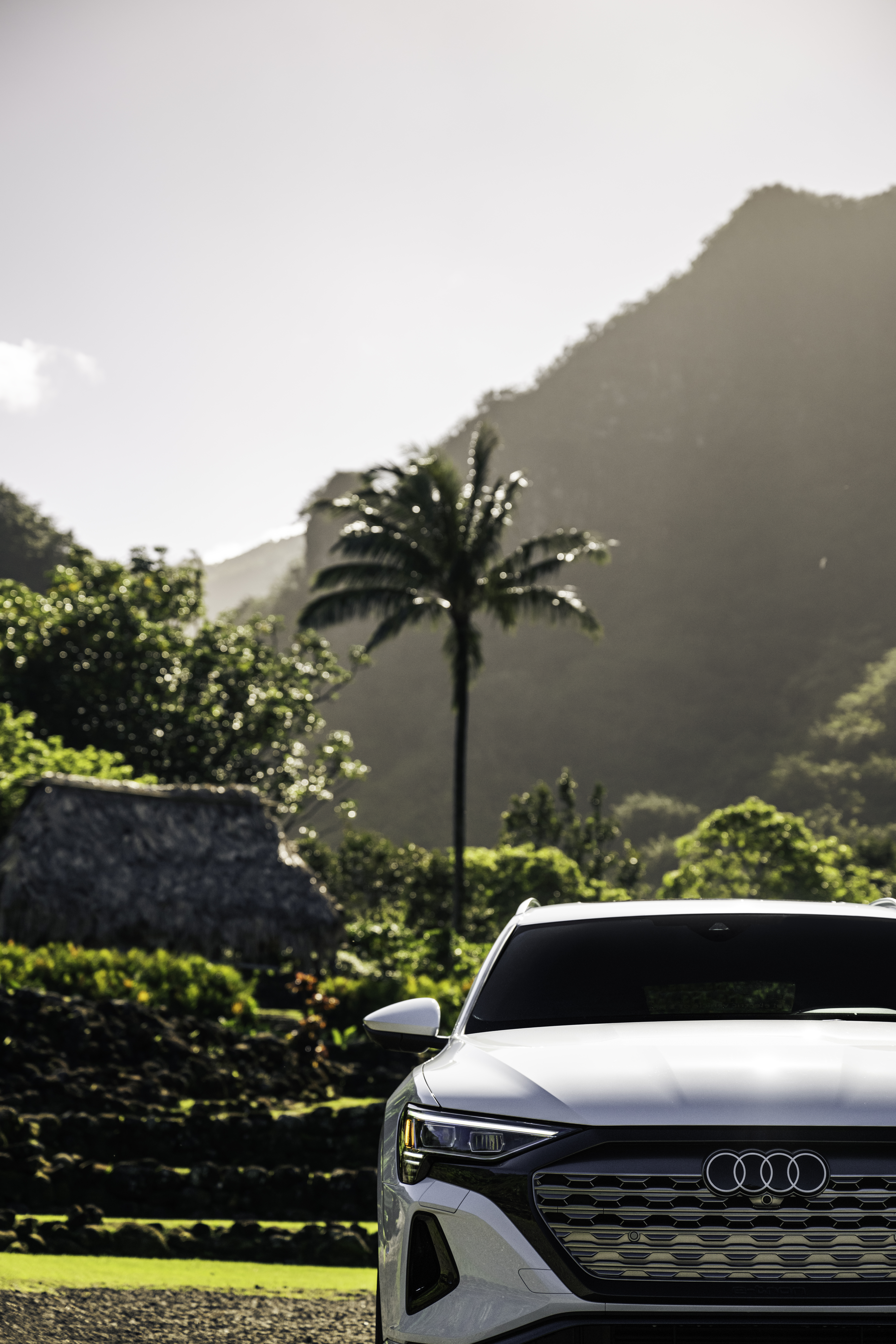 Audi near palm trees