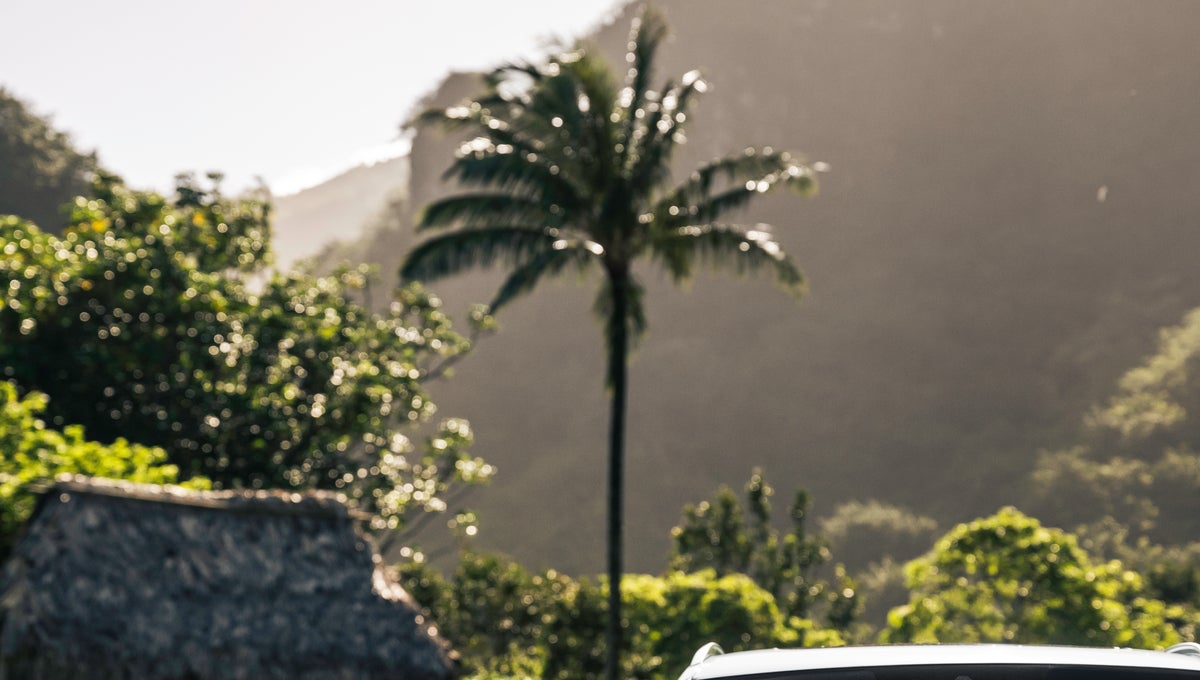 Audi near palm trees
