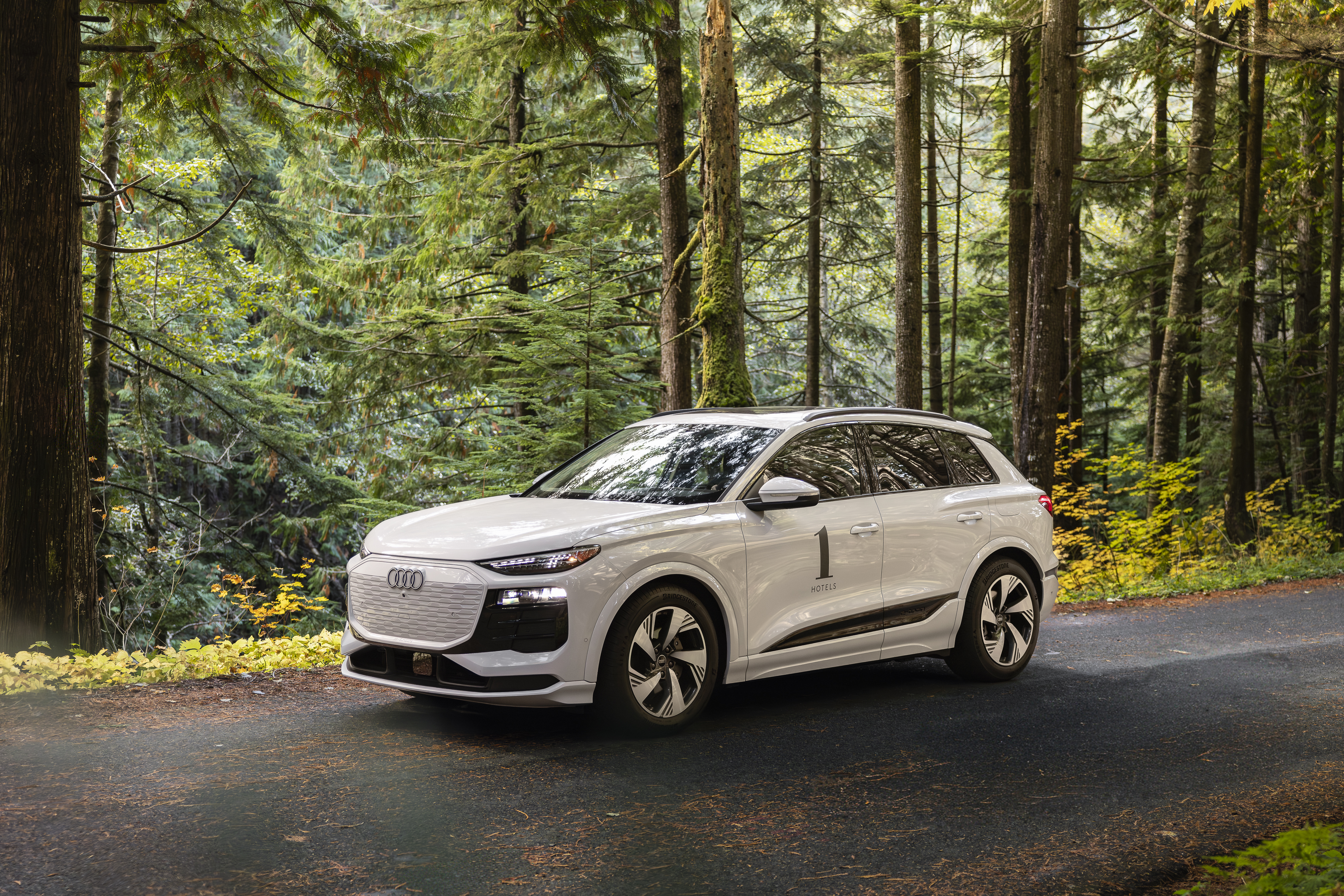 Audi House Car à Forest